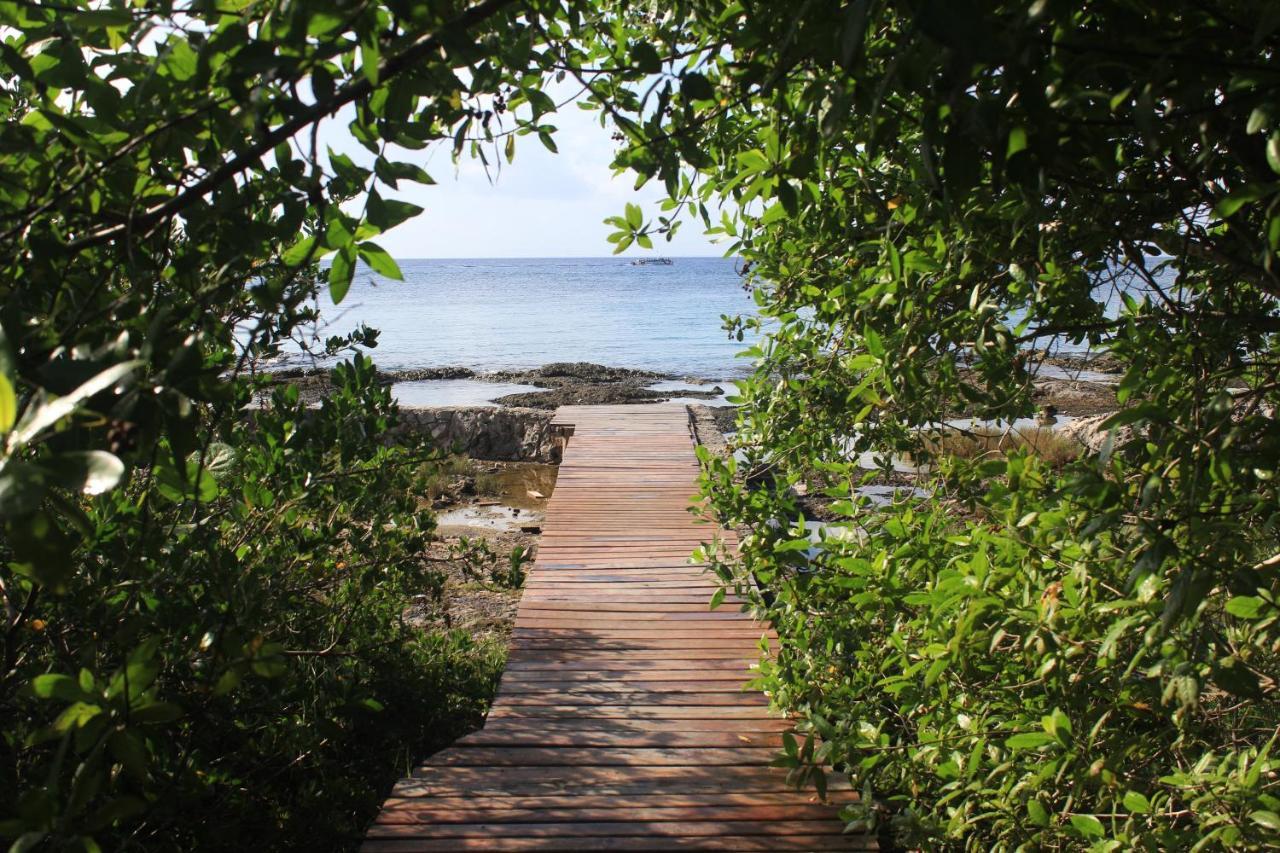 Apartamento Hermoso Departamento En Cozumel, Con Vista Al Mar Caribe C9 Cozumel